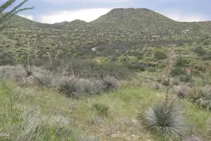 Goodenough Trail, Vail, AZ 85641 - Photo 3