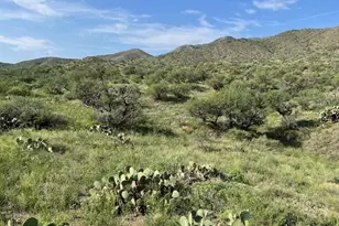 Goodenough Trail, Vail, AZ 85641 - Photo 7