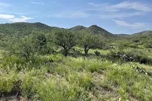 Goodenough Trail, Vail, AZ 85641 - Photo 9