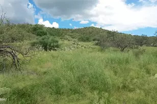 Goodenough Trail, Vail, AZ 85641 - Photo 5