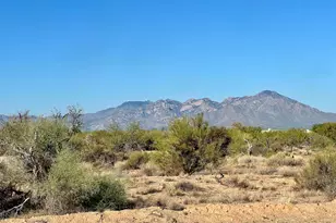 15954 Diamond Bell Ranch Rd, Tucson, AZ 85736 - Photo 1