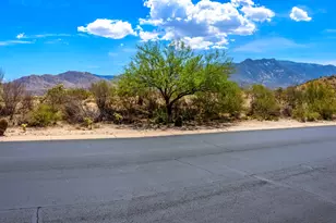 37614 S Desert Bluff Dr, Tucson, AZ 85739 - Photo 43