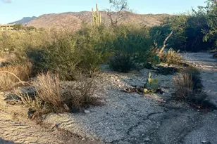 0000 Placita Rancho Grande, Tucson, AZ 85730 - Photo 1