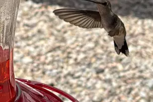 30 Sunset Ln, Elgin, AZ 85611 - Photo 39