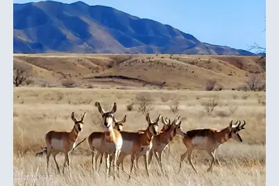 005B State Route Highway 83 #-, Elgin, AZ 85611 - Photo 15