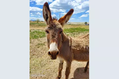 005B State Route Highway 83 #-, Elgin, AZ 85611 - Photo 17