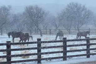 51 Red Rock Dr, Patagonia, AZ 85624 - Photo 39