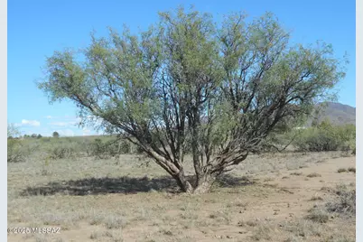 36.8 Acres Old Stewart Road #53, Willcox, AZ 85643 - Photo 11