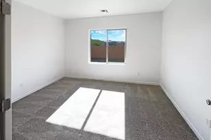 14167 South Avenida Zumba, Sahuarita, AZ 85629 - Photo 13