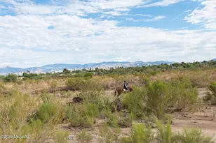 9525 E Graf Ln, Tucson, AZ 85730 - Photo 37