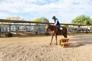 9525 E Graf Ln, Tucson, AZ 85730 - Photo 35