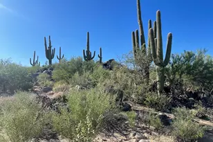 1364 Tortolita Mountain Cir, Oro Valley, AZ 85755 - Photo 1