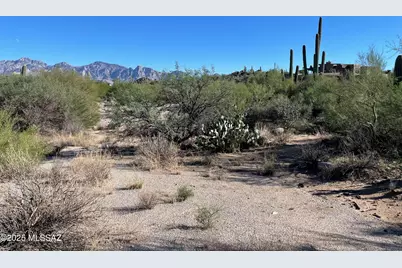 1364 Tortolita Mountain Circle #313, Oro Valley, AZ 85755 - Photo 3