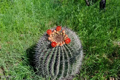Tbd Muledeer Drive #110, Rio Rico, AZ 85648 - Photo 23