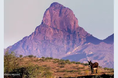 35700 Cedar Creek Road, Arivaca, AZ 85601 - Photo 1