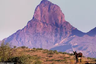 35700 Cedar Creek Rd, Arivaca, AZ 85601 - Photo 1