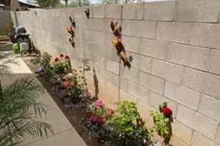 3251 N Stone Ave, Tucson, AZ 85705 - Photo 29