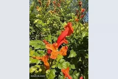 10163 E Sunset Meadow Place, Tucson, AZ 85747 - Photo 39