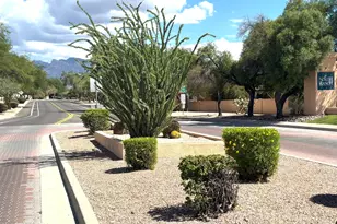 9890 N Sun Vista Pl, Tucson, AZ 85742 - Photo 27