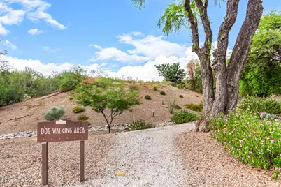 5855 N Kolb Road #8102, Tucson, AZ 85750 - Photo 19