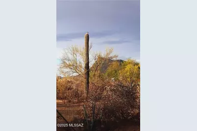 6181 N Bobcat Lane, Tucson, AZ 85743 - Photo 31