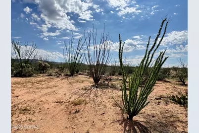 14950 Herfkens Avenue #334, Tucson, AZ 85736 - Photo 11