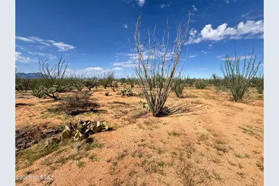 14950 Herfkens Avenue #334, Tucson, AZ 85736 - Photo 45