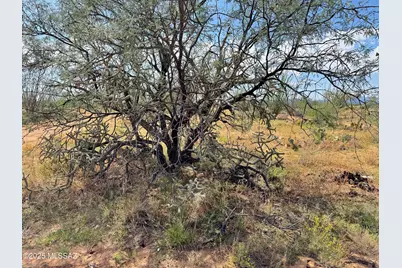 14950 Herfkens Avenue #334, Tucson, AZ 85736 - Photo 33