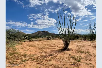 14950 Herfkens Avenue #334, Tucson, AZ 85736 - Photo 37