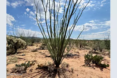 14950 Herfkens Avenue #334, Tucson, AZ 85736 - Photo 13