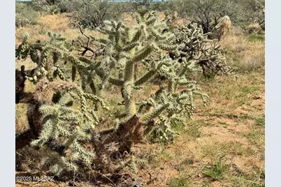 14950 Herfkens Avenue #334, Tucson, AZ 85736 - Photo 9