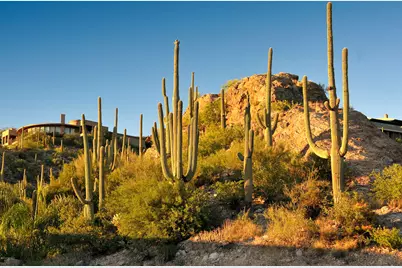 6412 Desert Wind Circle #46, Tucson, AZ 85750 - Photo 11