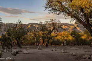 8959 E Woodland Rd, Tucson, AZ 85749 - Photo 43