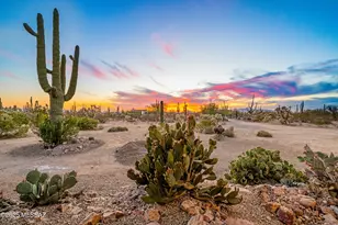 33977 S Twin Hawk Ln, Marana, AZ 85658 - Photo 7