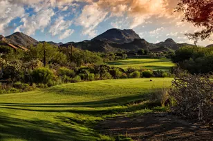 13544 N Buckhorn Cholla Dr, Marana, AZ 85658 - Photo 37