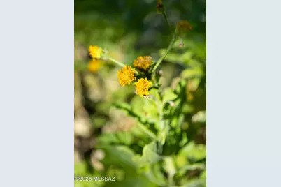 [Address not provided], Tucson, AZ 85745 - Photo 45