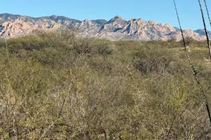 Lot 105 Cottontail Trail, Saint David, AZ 85630 - Photo 1