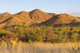 11201 E Camino Aurelia, Vail, AZ 85641 - Photo 9