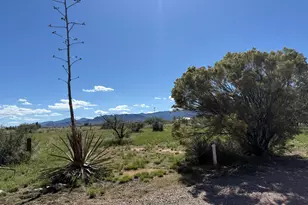 1606 N Panorama Way, Cochise, AZ 85606 - Photo 45