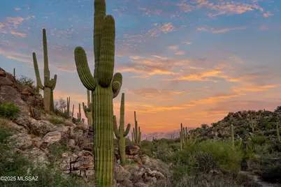 1141 Tortolita Mountain Circle #177, Oro Valley, AZ 85755 - Photo 19