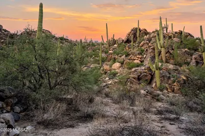 1141 Tortolita Mountain Circle #177, Oro Valley, AZ 85755 - Photo 13