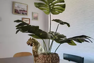 2825 E Manchester St, Tucson, AZ 85716 - Photo 15