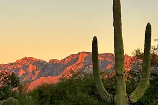 10936 N Ledge Stone Dr, Tucson, AZ 85742 - Photo 39