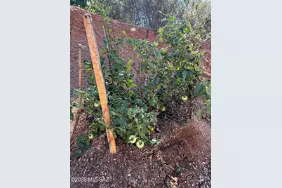 895 Calle Alabastro, Rio Rico, AZ 85648 - Photo 31