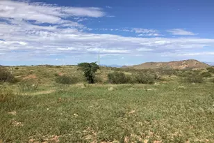 6265 W Copper Bug Rd, Elfrida, AZ 85610 - Photo 11