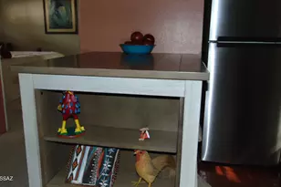 211 W Camino Manzana, Green Valley, AZ 85614 - Photo 7