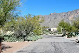 6515 N Burro Creek Pl, Tucson, AZ 85718 - Photo 47