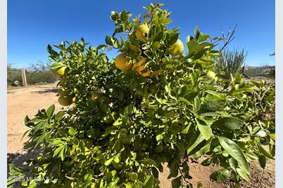 10935 S Swan Road, Tucson, AZ 85756 - Photo 27