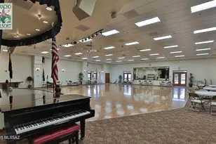 1303 W Calle Luis Maria, Sahuarita, AZ 85629 - Photo 45