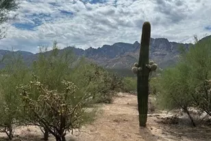 11484 N 1st Ave, Oro Valley, AZ 85737 - Photo 43